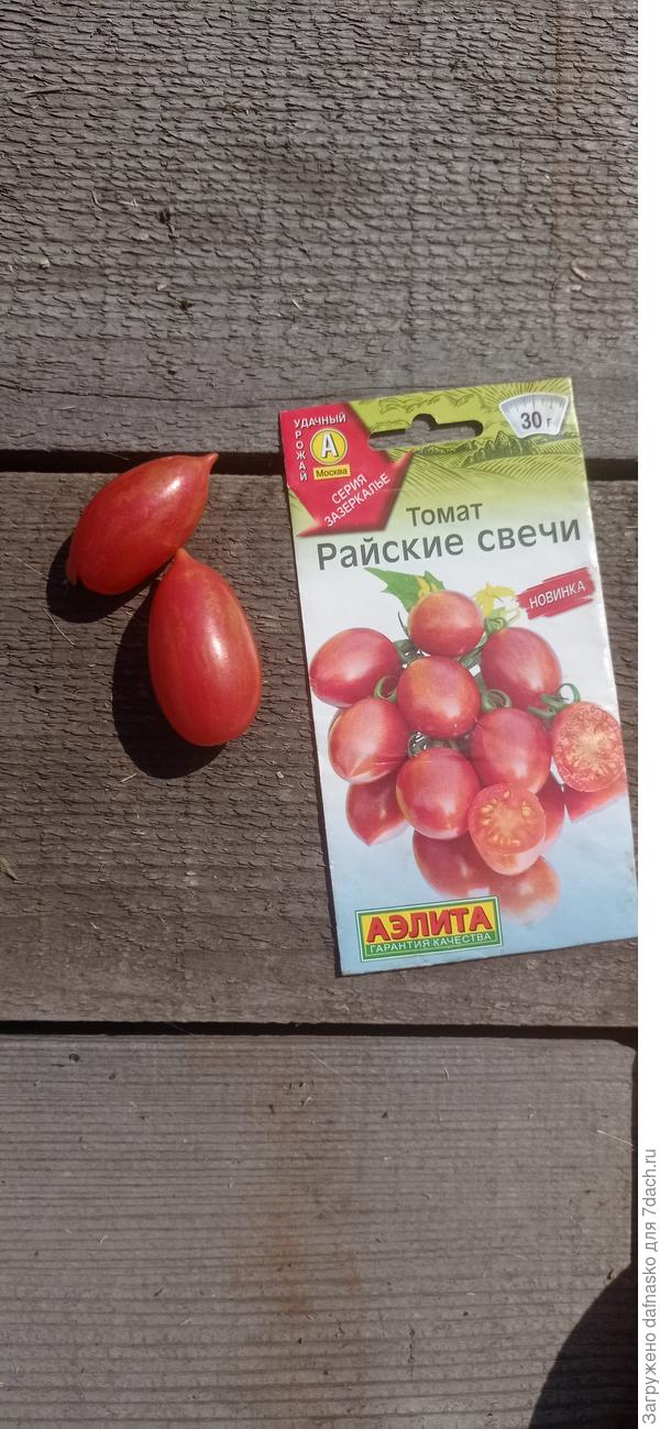 Фото от 10 июля