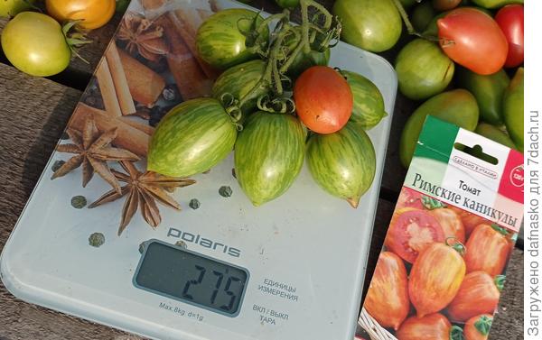 Кисть на весах