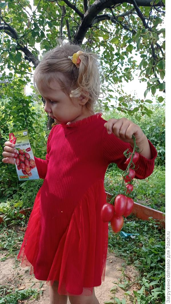 Главный дегустатор оценил)