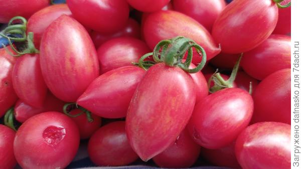 Красавчики