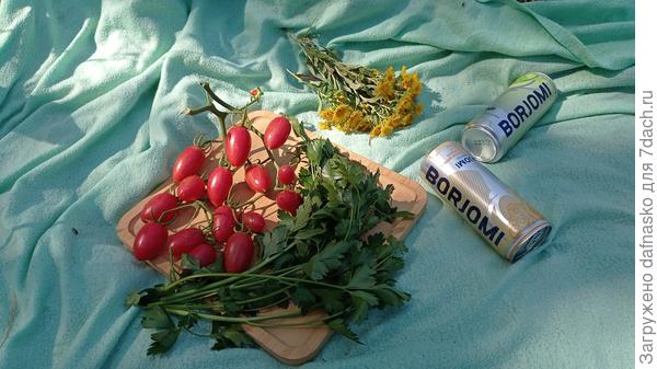 Даже на пикник вместе с ним)