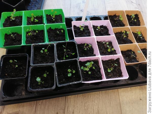 Фото почему - то сразу не прикрепил ось.