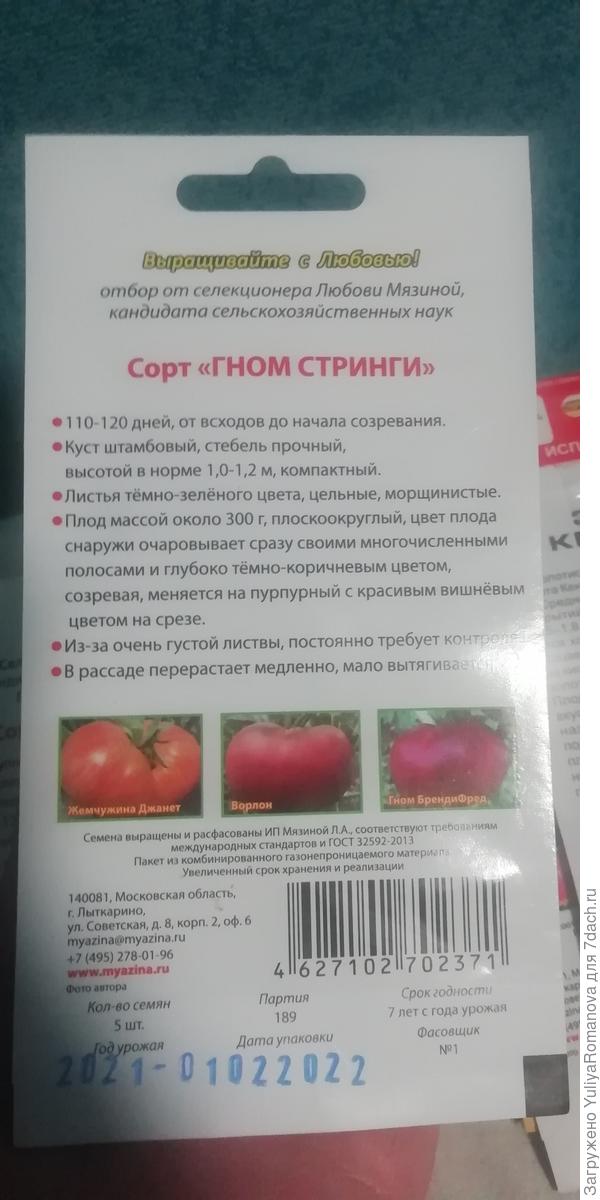 Гном стринги томат отзывы характеристика и описание