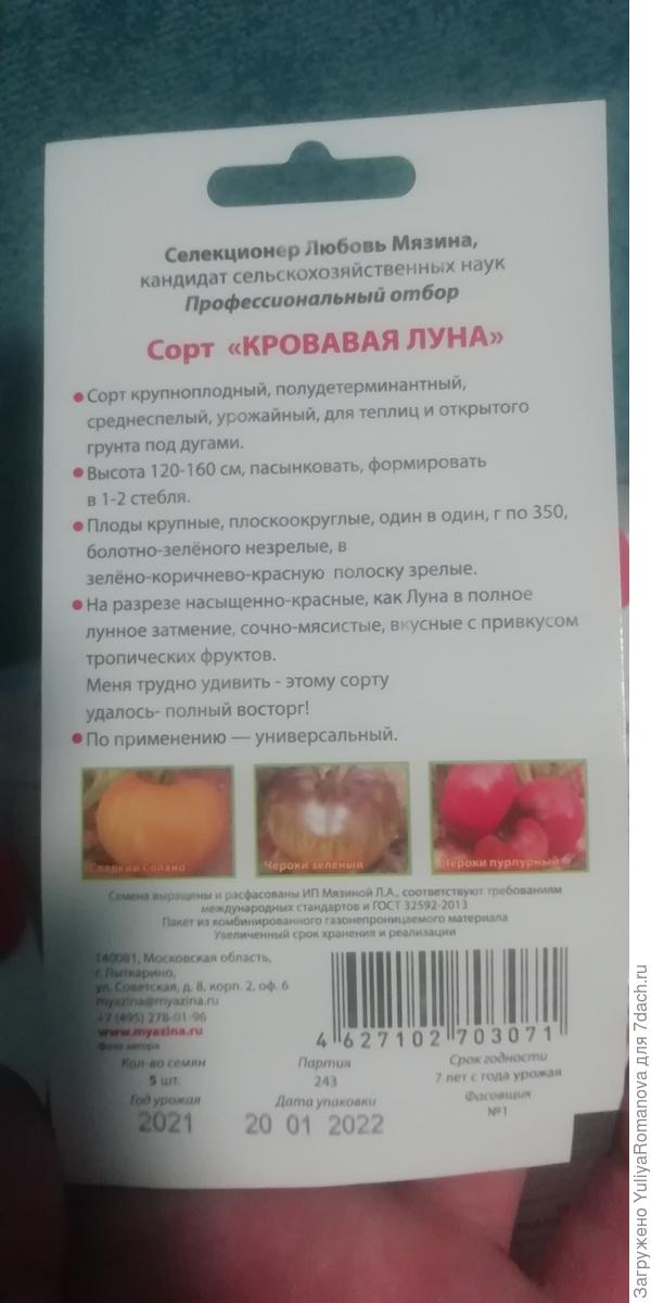 Сорт Мязиной