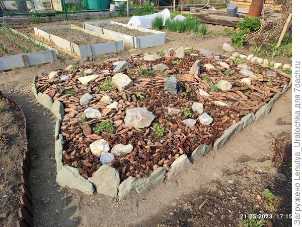 Новая клумба...