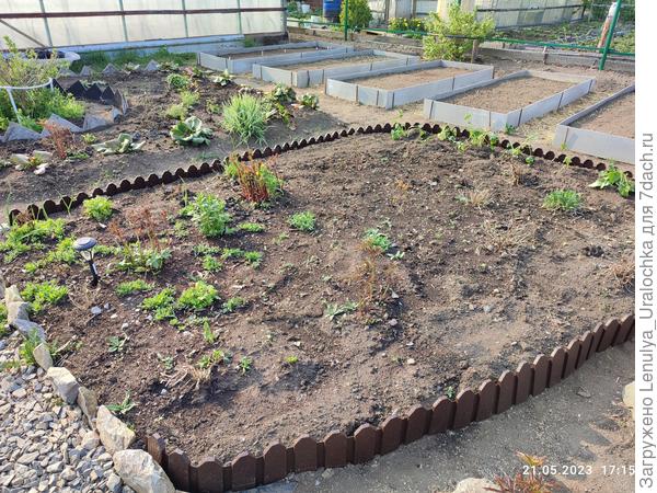 Клумба для однолетиков