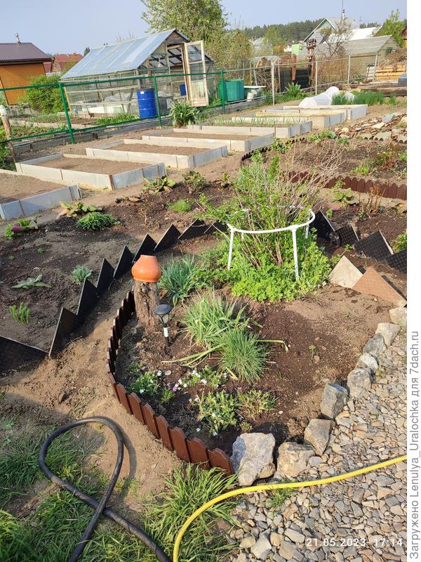 Еще одна клумба