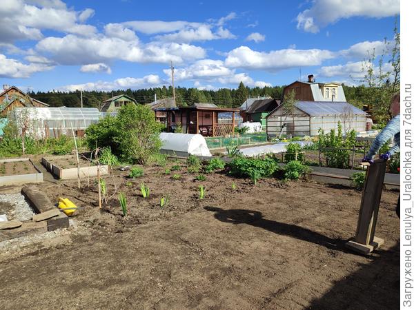 22 мая 2022 ни газона, ни беседки