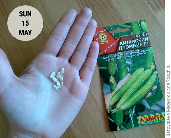 Китайский пломбир