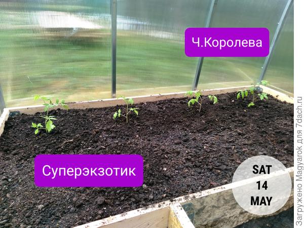 Красавчики мой сердечные