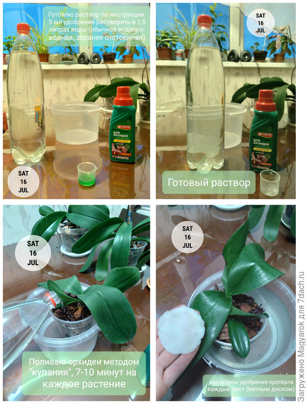 Весь процесс в фотографиях