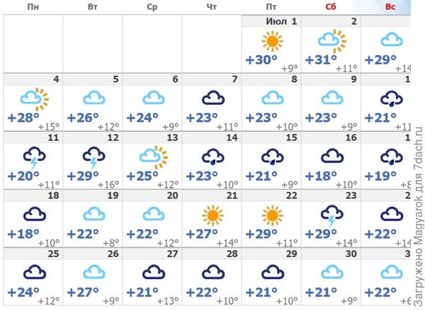 Статистика погоды, Вырица, июль 2022 г