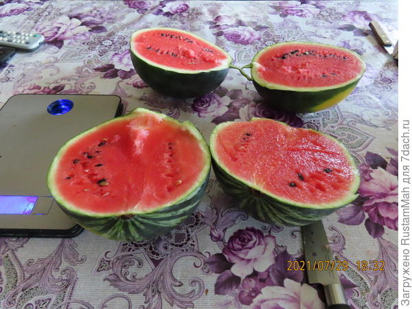 арбузы