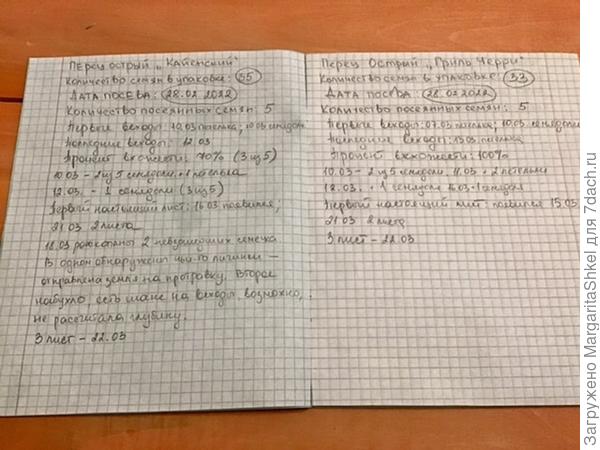 Статистика по перцам