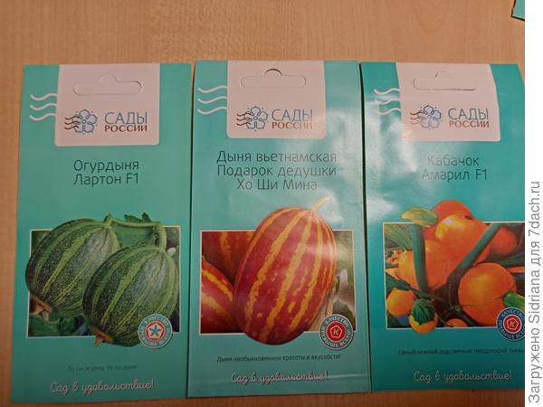 Необычные дыньки и кабачок