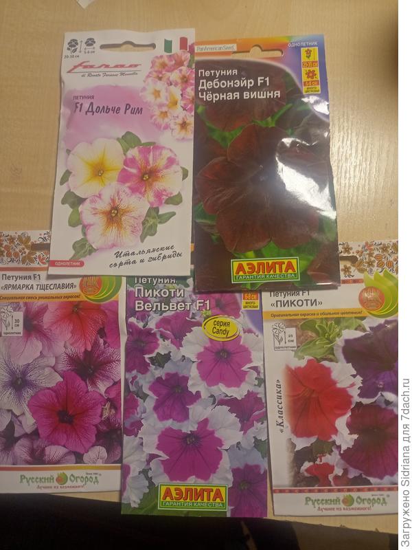 Вот эти в планах. Буду числа 15-го февраля сеять.