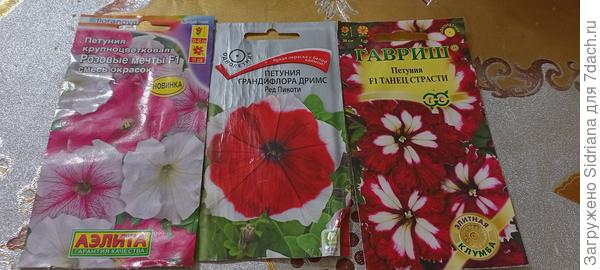 Та что посредине - она прям очень достойно смотрелась даже в горшках по 3л.