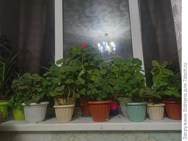 Уже вон как плотно поставила... И все равно нету места))