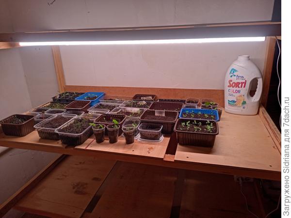 Вид спереди