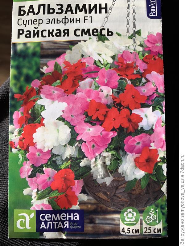 Супер эльфин