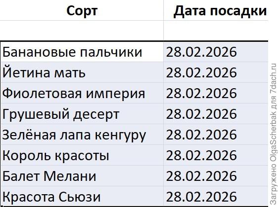 Томатные гнмы