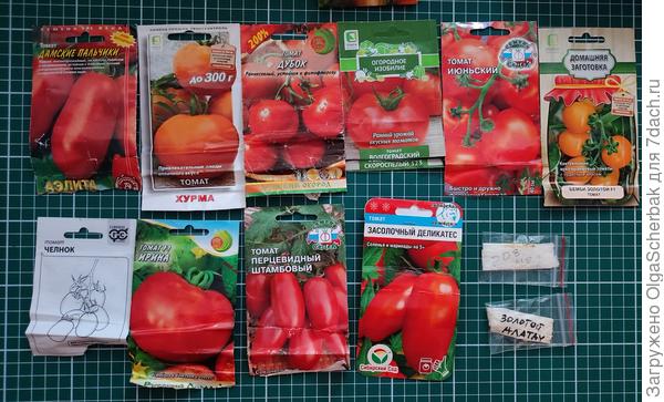 Денты 2026 года