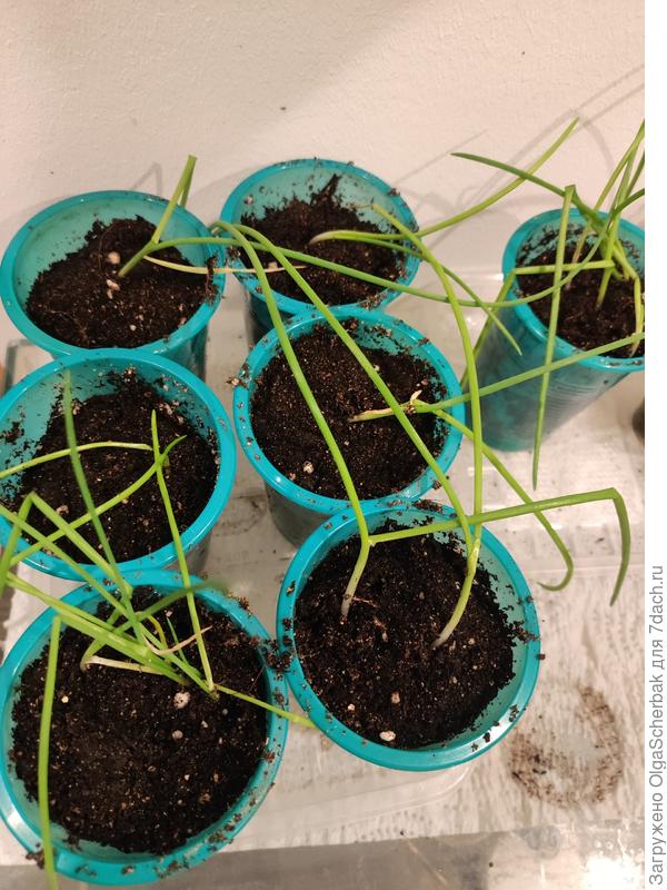 Тут в новых квартирах