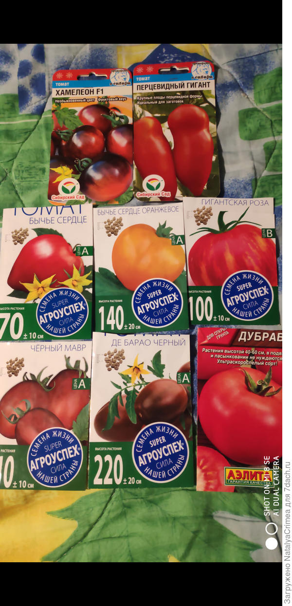 Вот какие сорта посадила