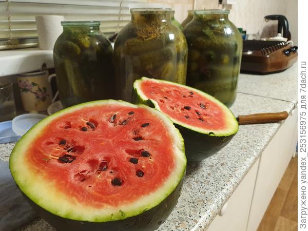 Мармеладный. От 2 до 5кг. Хороший сорт, не первый раз сажаю.