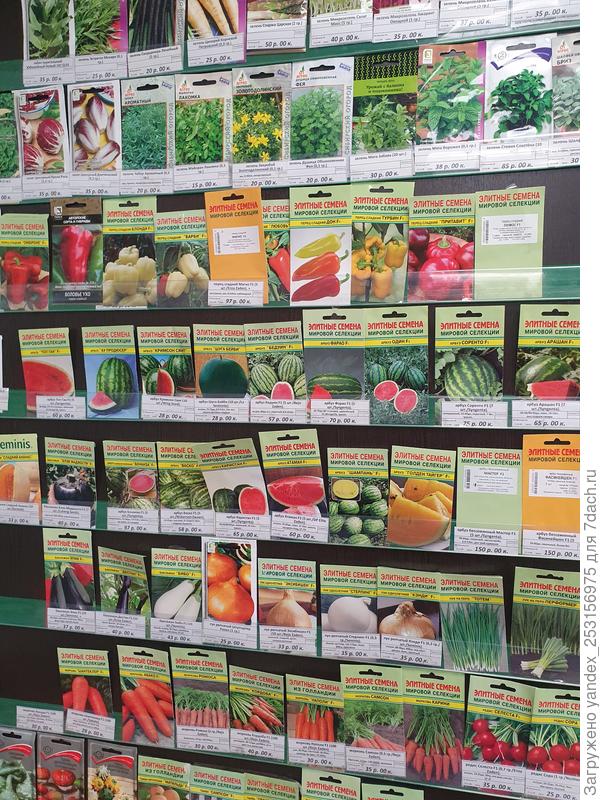 Воронеж, сентябрь 2022, розничные цены на мелкую фасовку профсемян