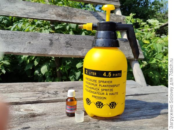 Все готово к работе