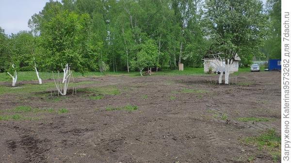 вид со стороны леса