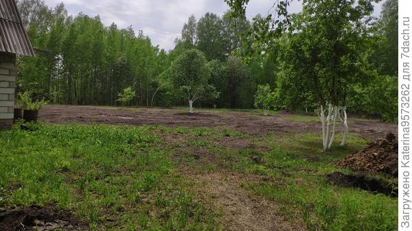 Правая граница участка