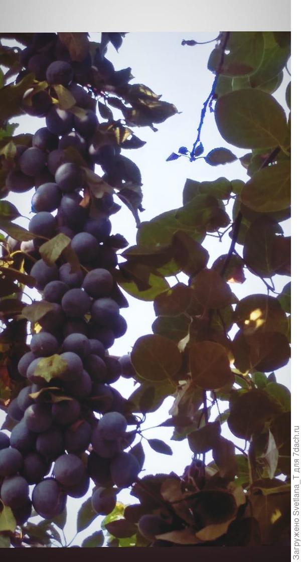 А было 3 года назад так..