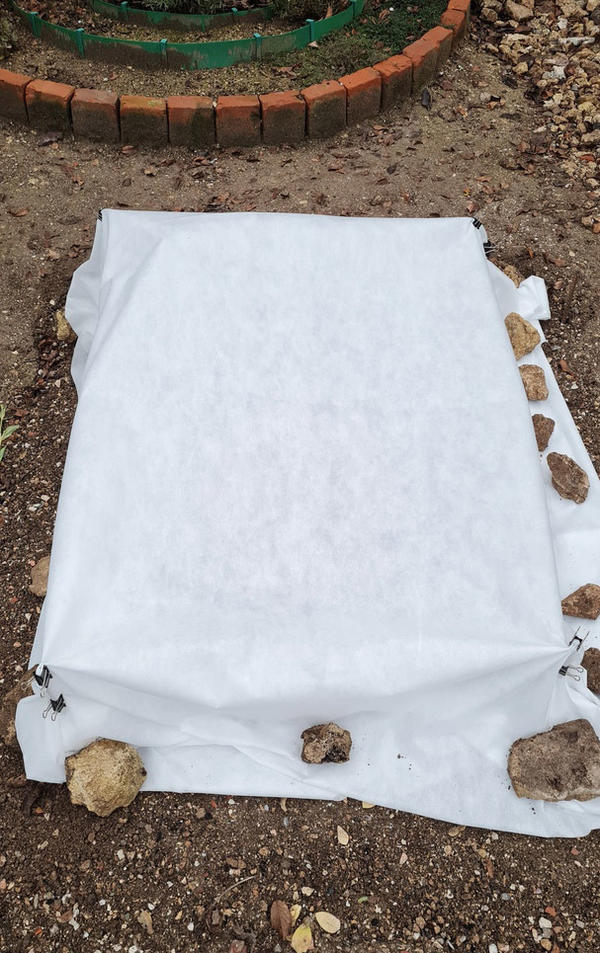 Получилось как-то так. Агроволокно в 2 слоя, плотность 60