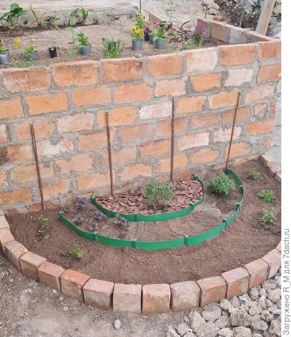 Свежевысаженная грядка пряных трав