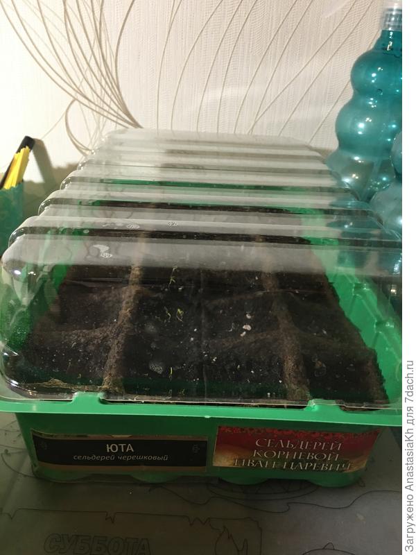 Иван-Царевич и Юта