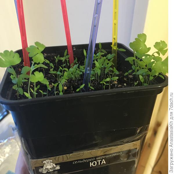 Юта, посадка 29.01