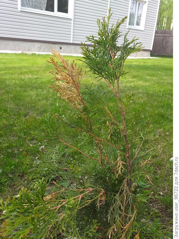 После обработки прошел 1мес.