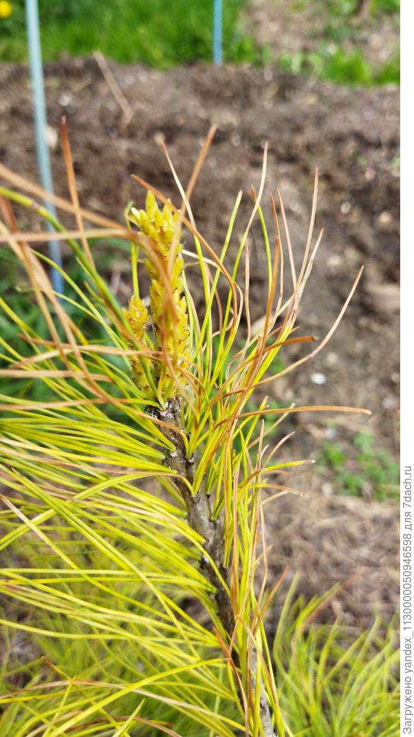 Прирост этого года