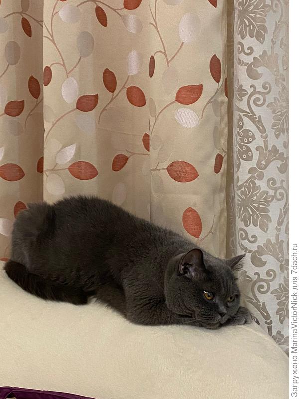 Умудренная жизнью Мишель 13 лет.