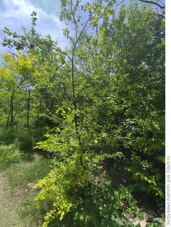 Г. Севастополь