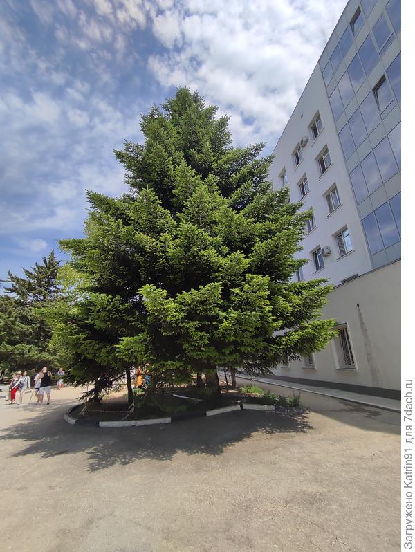 Окружность стала 120 см