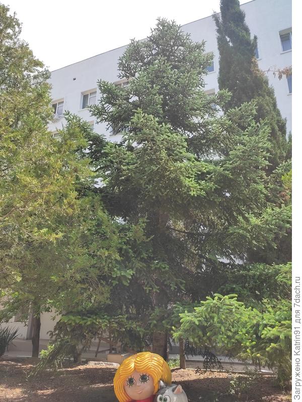 Продолжение того же