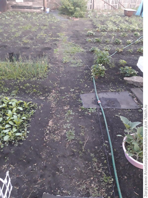 Место для творения, нет дорожки до летней кухни