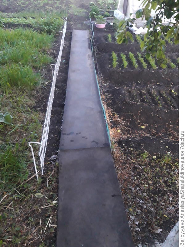 Выдавило дерево часть дорожки