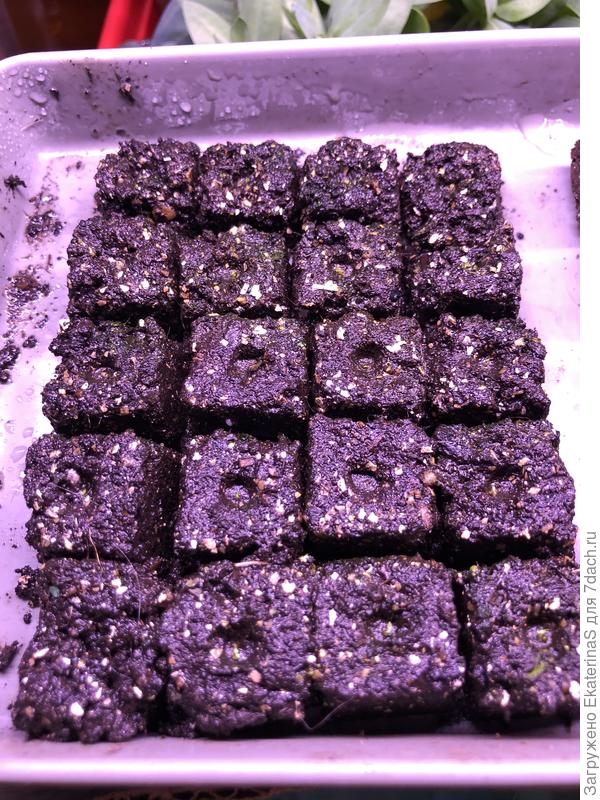 Почвоблоки