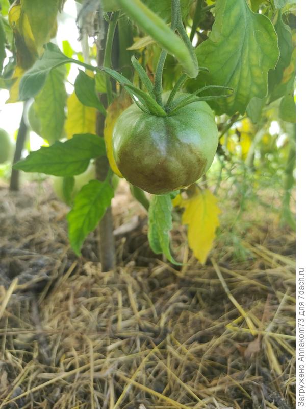 В основном снизу