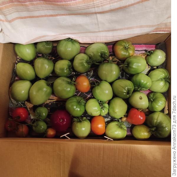 Есть красные, созревшие на кусте