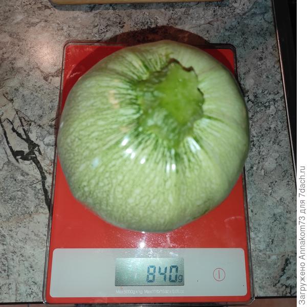 Снимаю небольшими